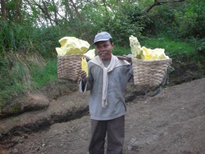 Ijen Sulfur miner