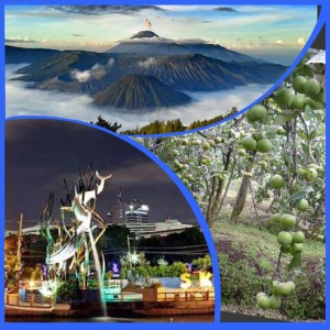 Surabaya Bromo Batu Tour