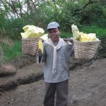 Ijen Sulfur miner