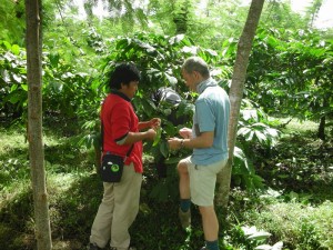 At the coffee plantation