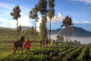 Local people on Bromo (photo by : R. Sam)