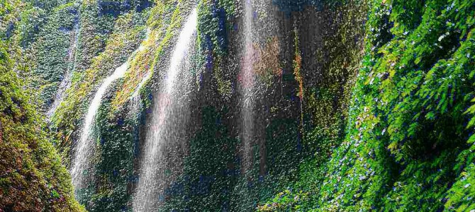 Ijen Bromo Madakaripura waterfall